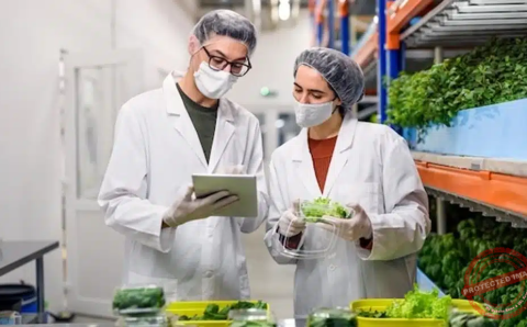 gida-ve-su-sektorunde-calisanlar-icin-hijyen-egitimi